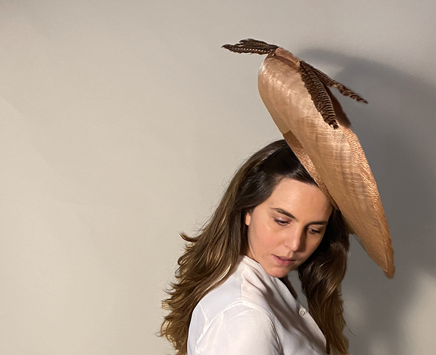 headpiece, hat, wedding, hut, hochzeitshut, feathers, federn